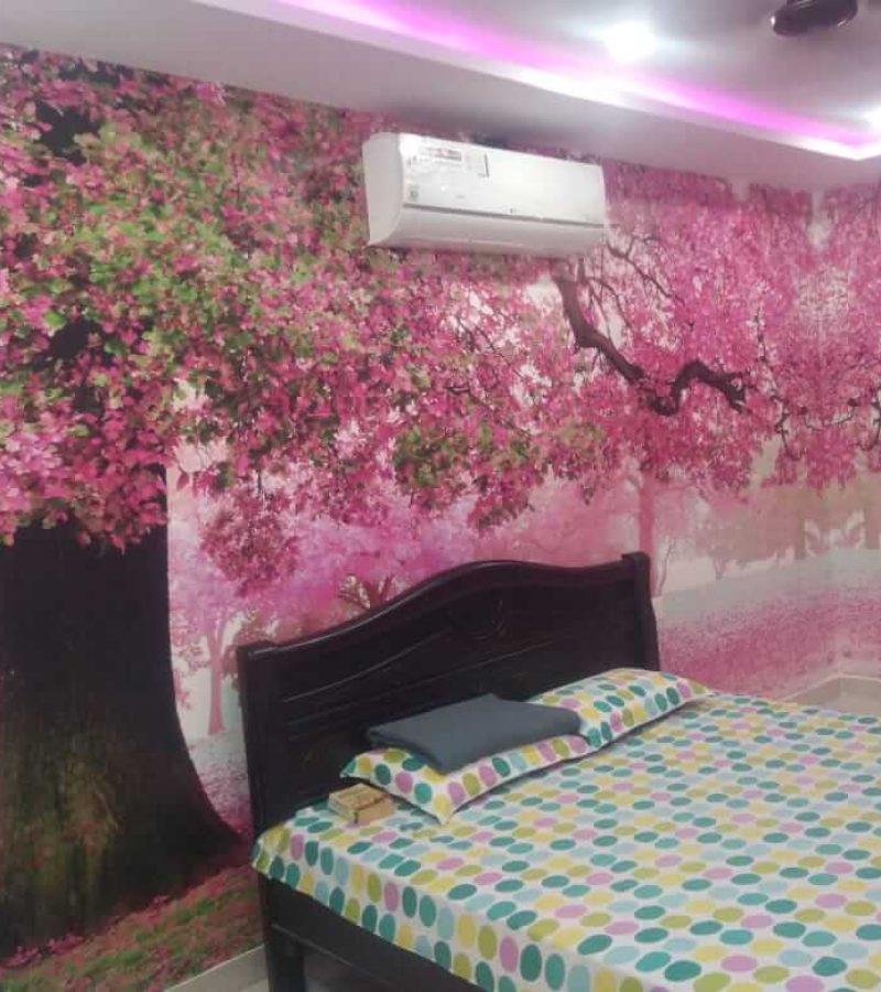 Customized 3D Wallpapers shop in Hyderabad Anjani Furnishings